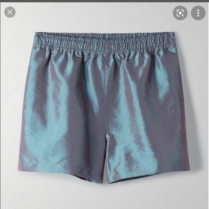 COPY - Iridescent TNA San Mateo Shorts size M